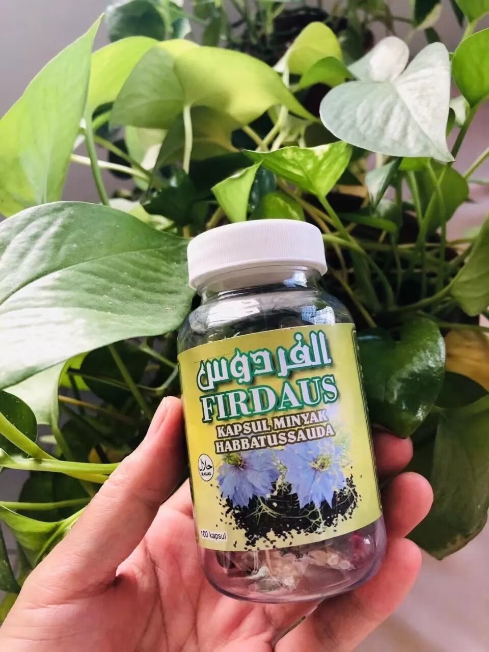 黑孜然籽油 进口黑籽油胶囊黑孜然油black seed oil 100粒装功效 瓶装