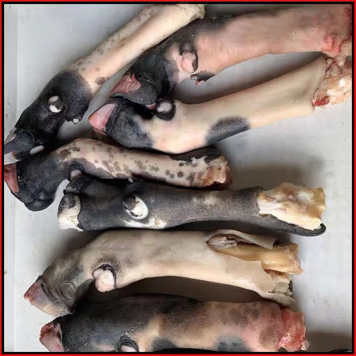 黑毛羊蹄山羊蹄子羊脚羊手羊爪生羊蹄肤色黑花2斤