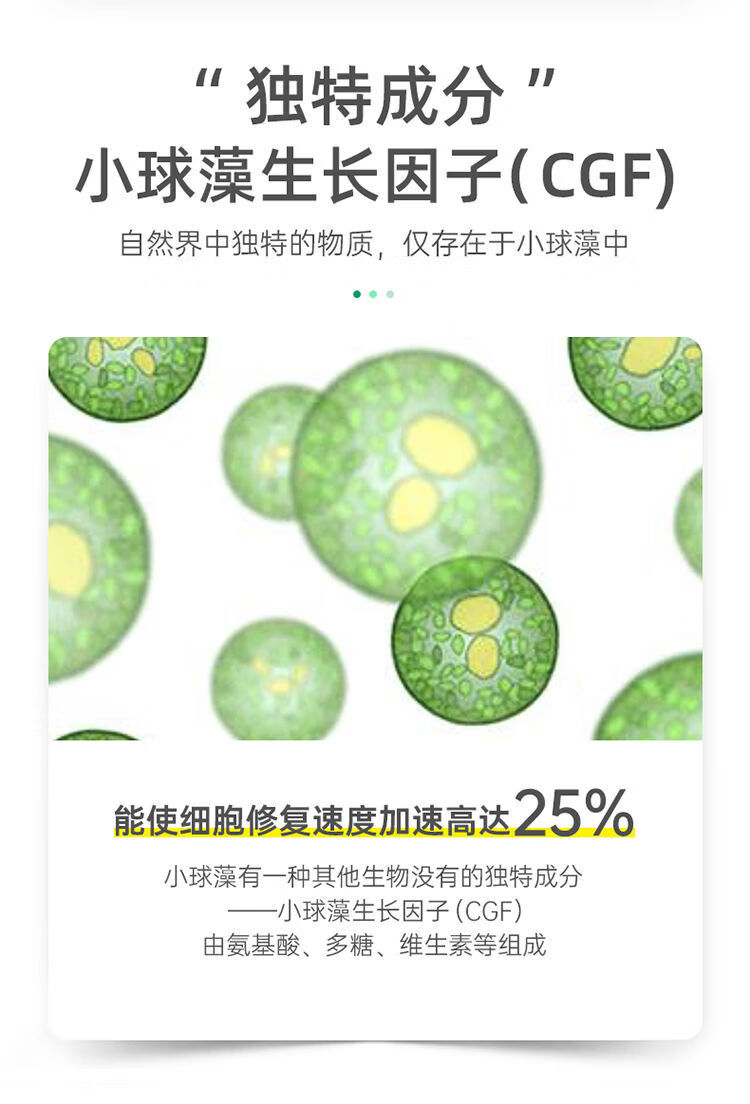 蛋白核小球藻片氨基酸中老年促代谢提高再生细胞绿藻小球藻 蛋白核