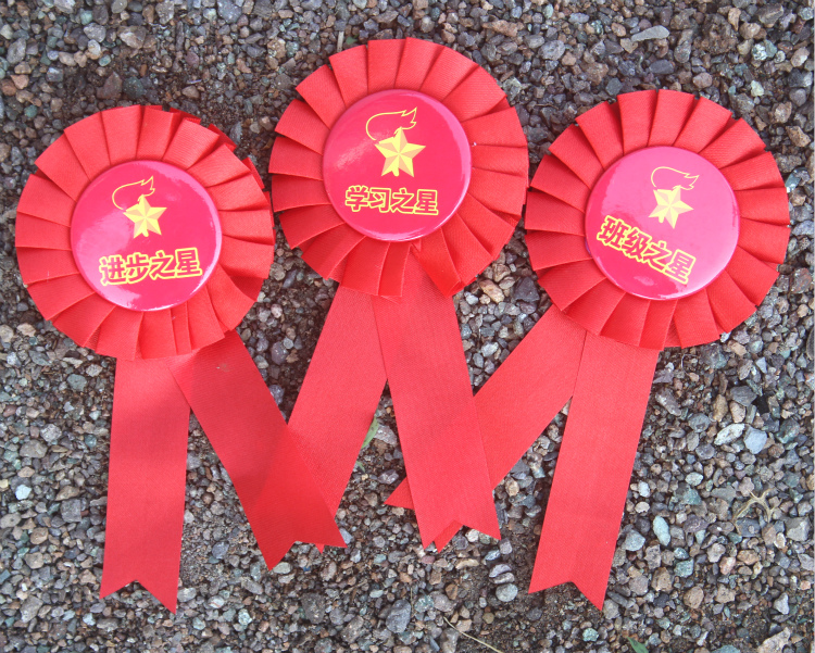大红花表彰小红花胸花别针小学生幼儿园期末礼物大花朵学校教师奖励