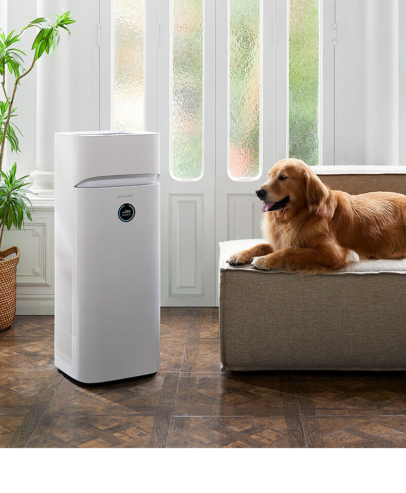 法国白朗空气净化器家用除甲醛加湿一体机客厅卧室低噪水洗k60