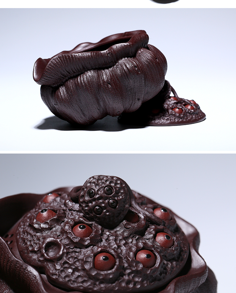 2022新款 宜兴紫砂壶公道杯宜兴手工紫砂手抓壶莲蓬公道壶茶壶单壶老