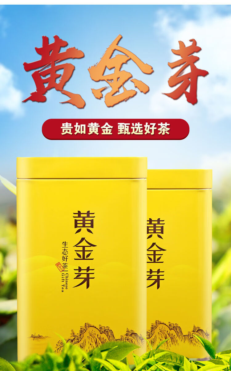 高山黄金芽叶绿茶2022新茶送礼盒装正宗雨前白茶浓香型