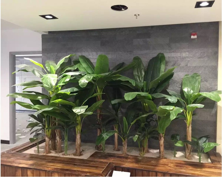 仿真芭蕉树香蕉树热带景观植物落地塑料假树室内客厅摆件大型绿植 3米