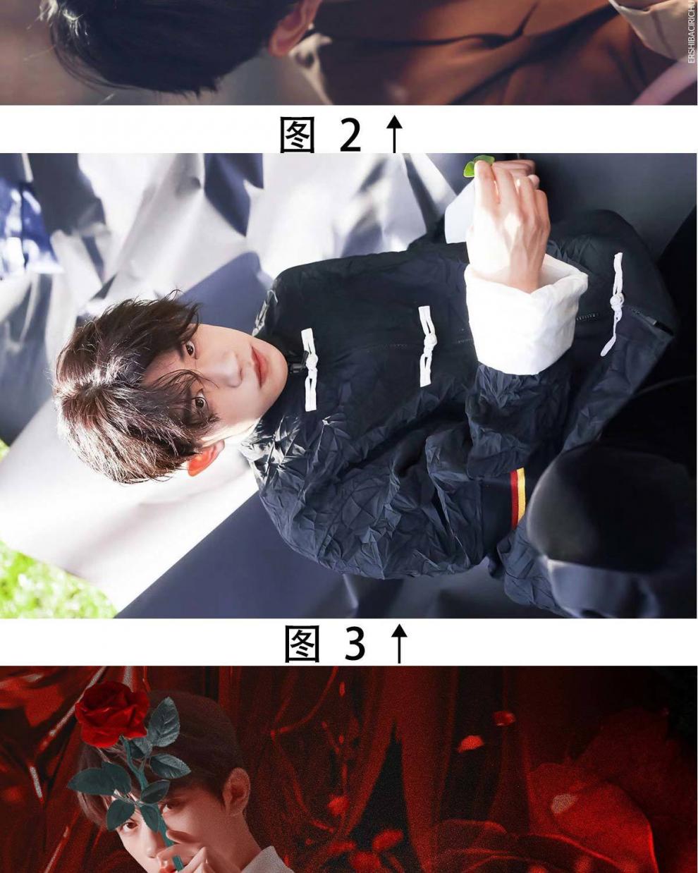 同林鸟易烊千玺300片520片1000片马赛克木质拼图生日礼物闺蜜创意女