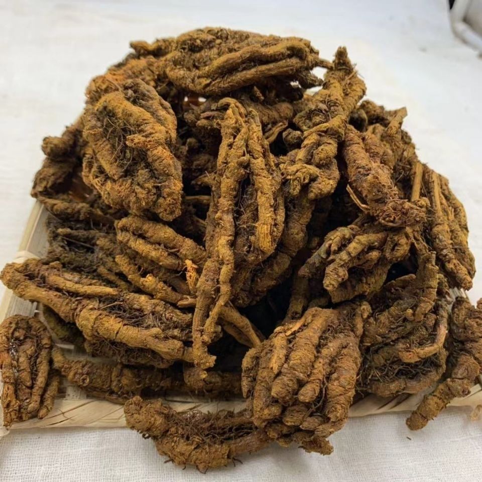 有仁堂鸡爪黄连野生黄莲中药材泡水黄莲片茶粉250克