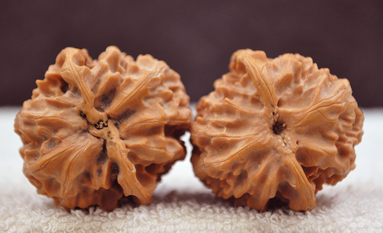 览日鸟新品文玩核桃把玩核桃小尺寸四座楼狮子头官帽苹果园秋子精品小