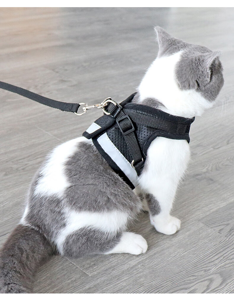 猫咪牵引绳布偶猫牵引绳背心式防挣脱可调节遛猫绳子可爱幼猫外出胸