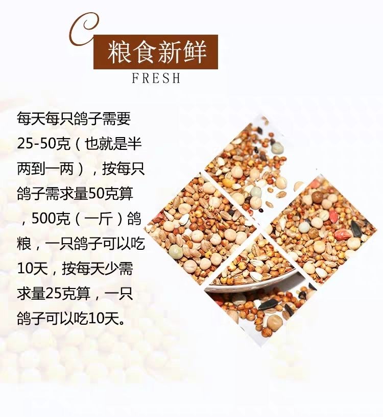 营养饲料鸟食信鸽观赏鸽肉鸽幼鸽成有玉米鸽粮a级精品无玉米鸽粮50斤