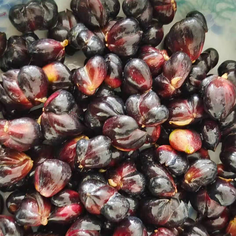 新鲜百合籽无硫滋补养生微苦药百合湖南特产煲粥煲汤精选大颗粒2斤