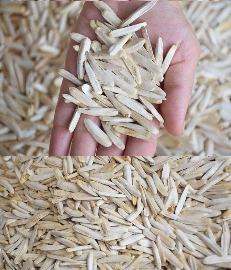 悦君心牙签瓜子新疆特产牙签马牙葵花籽葵生瓜子白皮新货皮薄仁酥新货