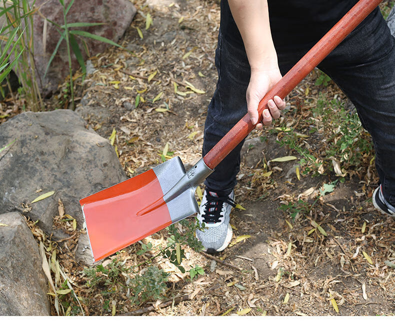 铁锹全钢淬火加厚铁锹锰钢铁锨加大煤锹种菜挖土铁锨户外家用工地农具