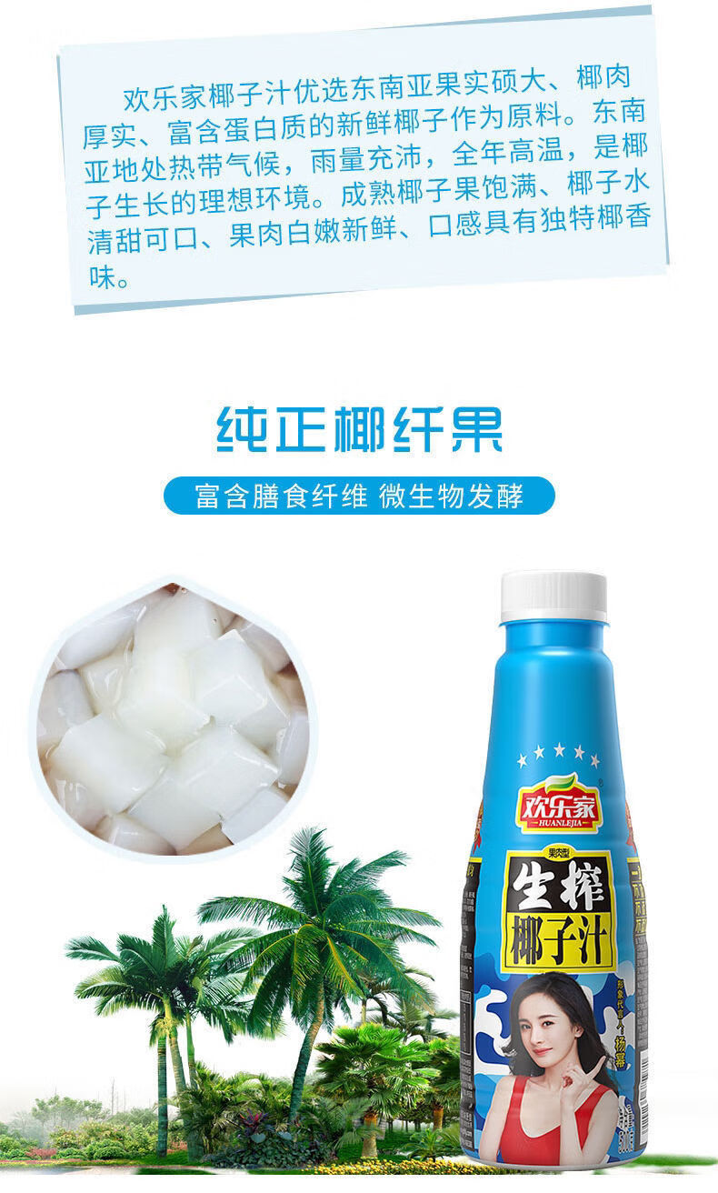 欢乐家生榨椰子汁植物蛋白牛奶饮品500ml果肉椰汁新日期整箱12罐