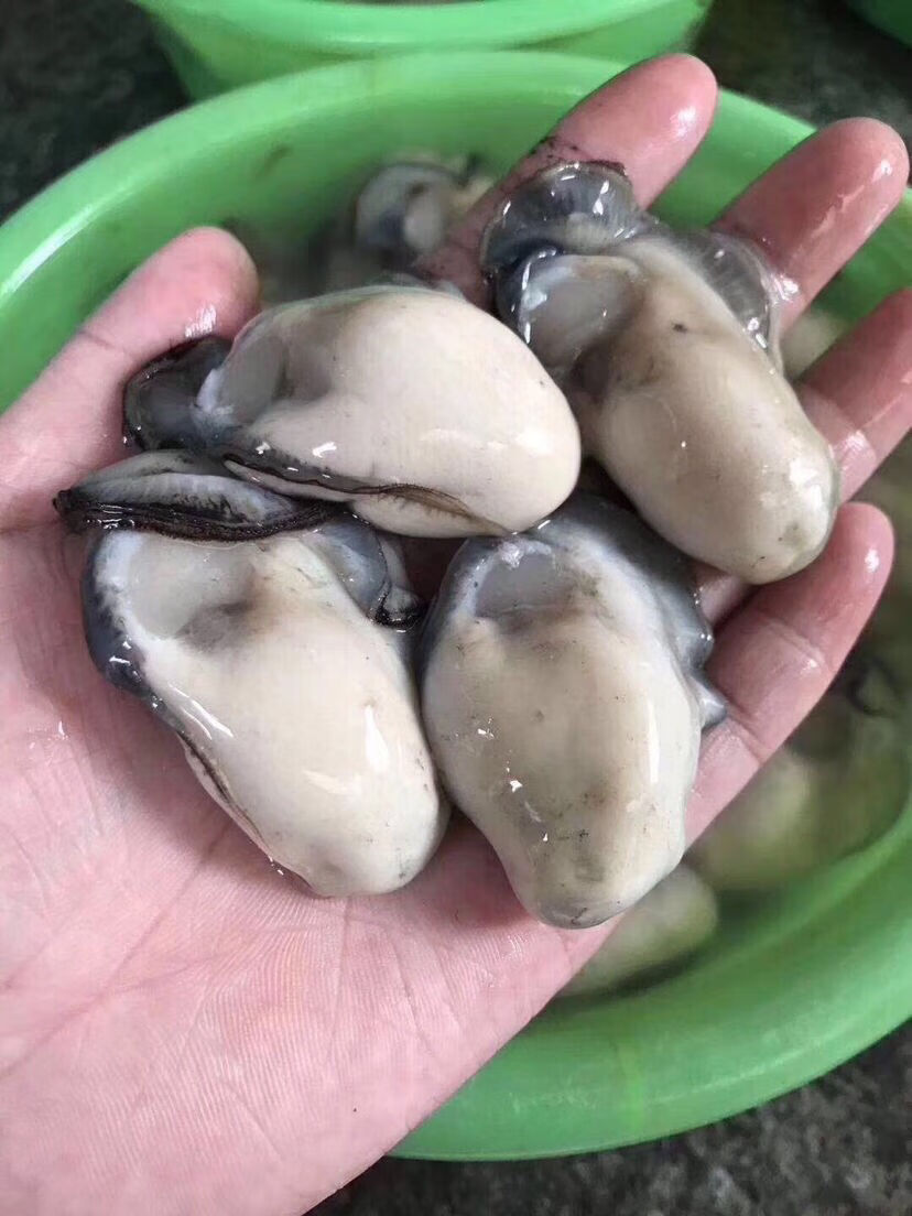 生蚝肉牡蛎肉生鲜现剥去壳海蛎子肉烧烤海鲜 3斤装 生蚝肉【图片 价格