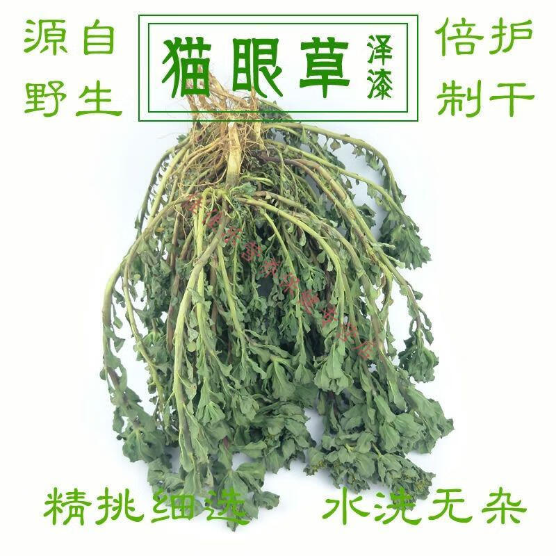 今年新货整株全草干鲜品猫眼草泽漆五朵云翠绿马虎眼暴晒一斤现晒干品