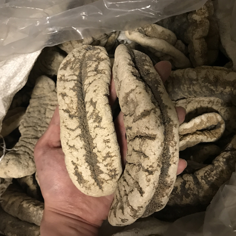 5折 猪婆参 500g 非大连即食辽参海参干货猪婆参淡干海鲜酒店用料