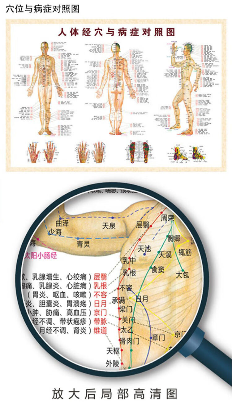 穴位图大挂图全身图解高清养生海报家用按摩 z01