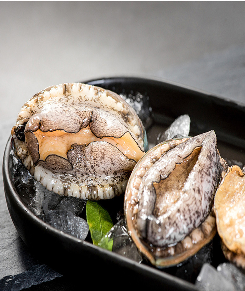 jd物流新鲜鲍鱼鲜活1020头鲍鱼大个新鲜海捕超大鲍鱼海鲜水产鲍鱼团建