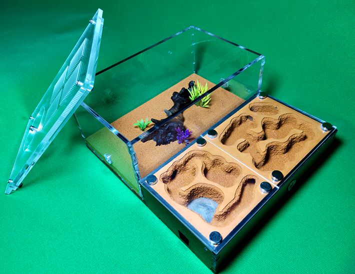 蚂蚁帝国工坊家园城堡生态学生蚁巢庄宠物活体蚁后盒子 豪华版 全黄1