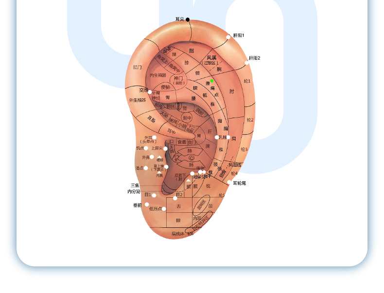 耳部穴位按摩器耳鳴耳朵智能成人耳穴壓豆理療脈衝儀優雅藍色