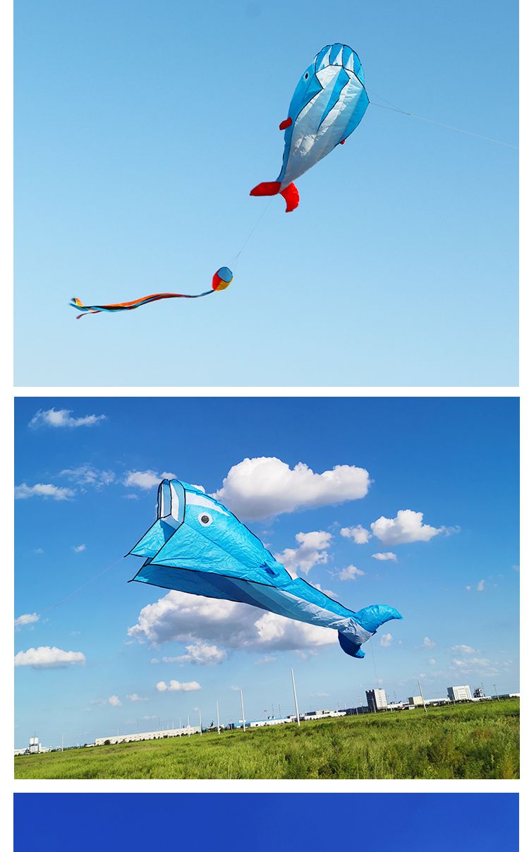 鲸鱼软体风筝大人大型立体无骨架大风可爱易飞海豚蓝鲸鱼18cm蓝水晶轮