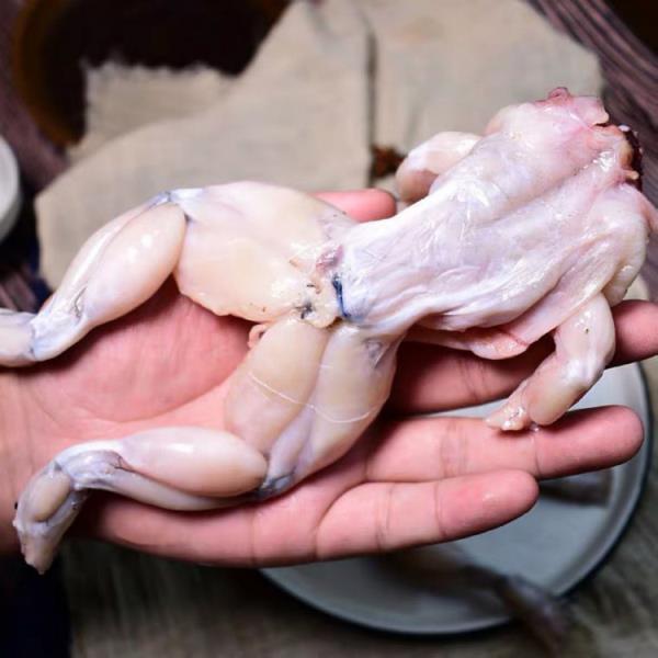新鲜牛蛙肉牛娃腿青蛙速冻大个肉美味现杀真空保鲜烧烤 精选牛娃/1斤