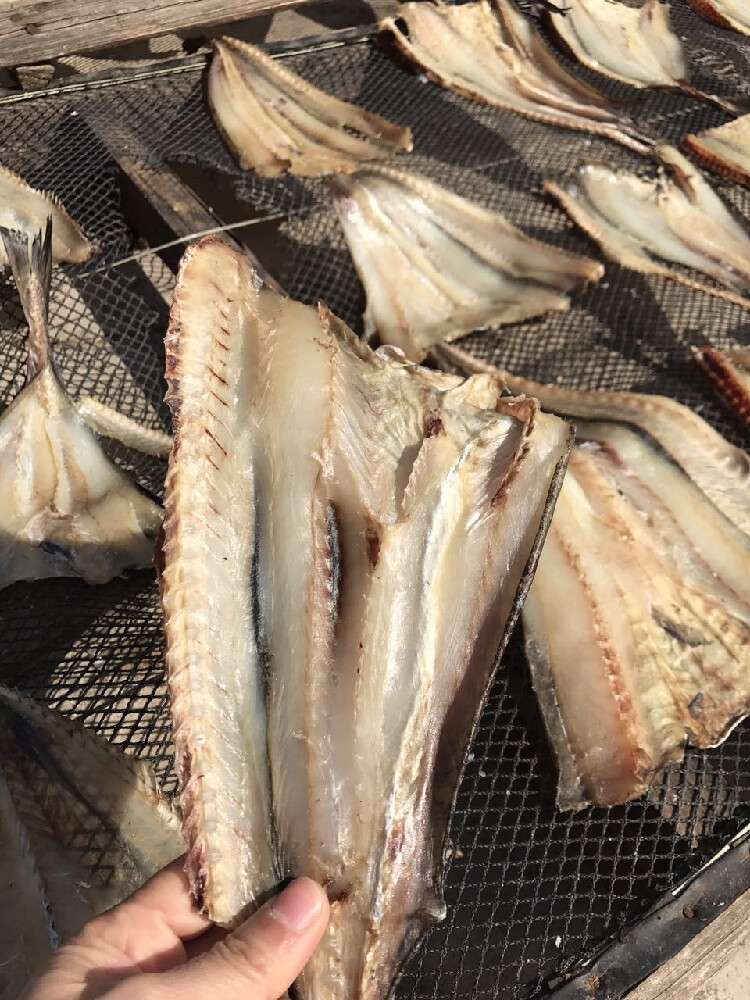 无头柴鱼干 多规格 阳江柴鱼干生晒无头柴鱼片 煲汤渔家自晒海鲜鱼
