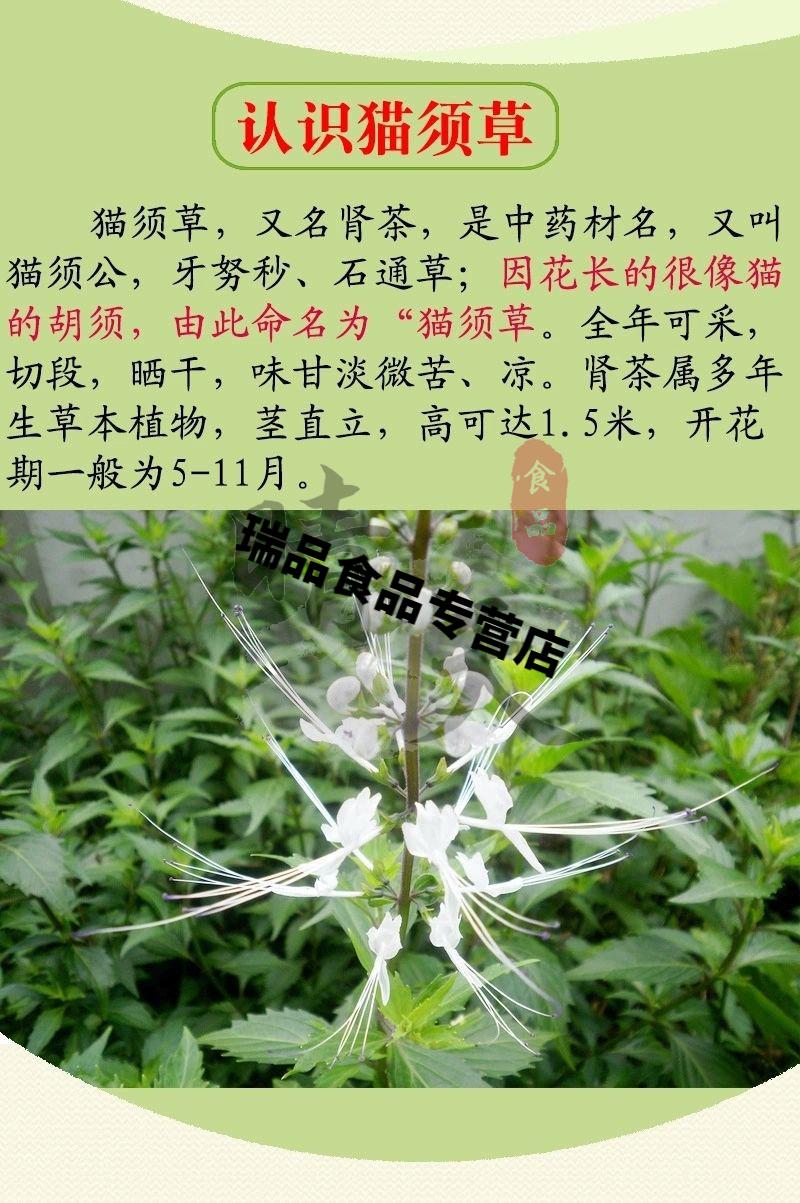 猫须草500g云南化石草中y材精选养生茶精选猫须草250g