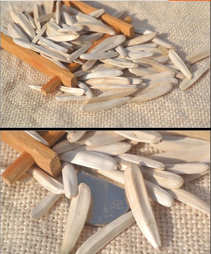 悦君心牙签瓜子新疆特产牙签马牙葵花籽葵生瓜子白皮新货皮薄仁酥新货