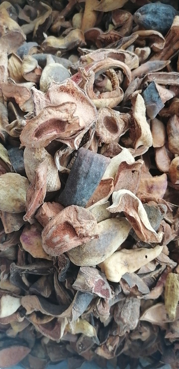 南京同仁堂原料 中药材 王不留行壳 王不留行 王不留行果250克1000克