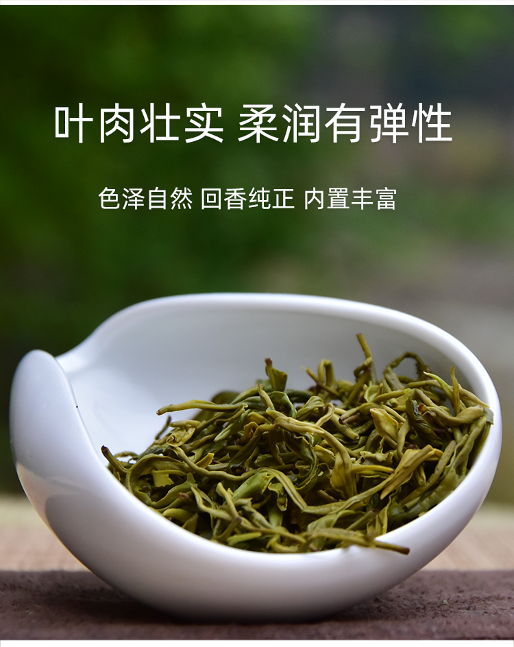 2022年新茶雷公山茶清明茶浓香型高山云雾绿茶250克