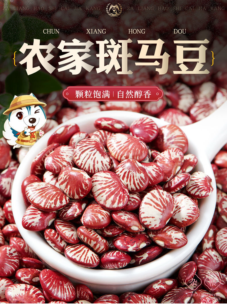 斑马豆生长图片图片