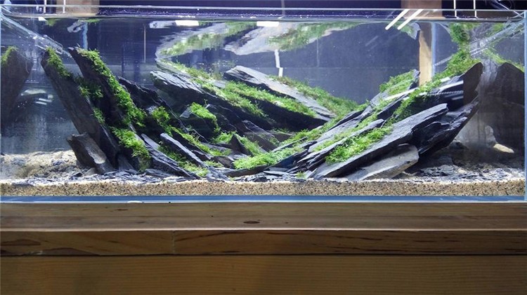 原石 青龙石 鱼缸造景石头水族装饰水草造景草缸造景素材 木化石树头