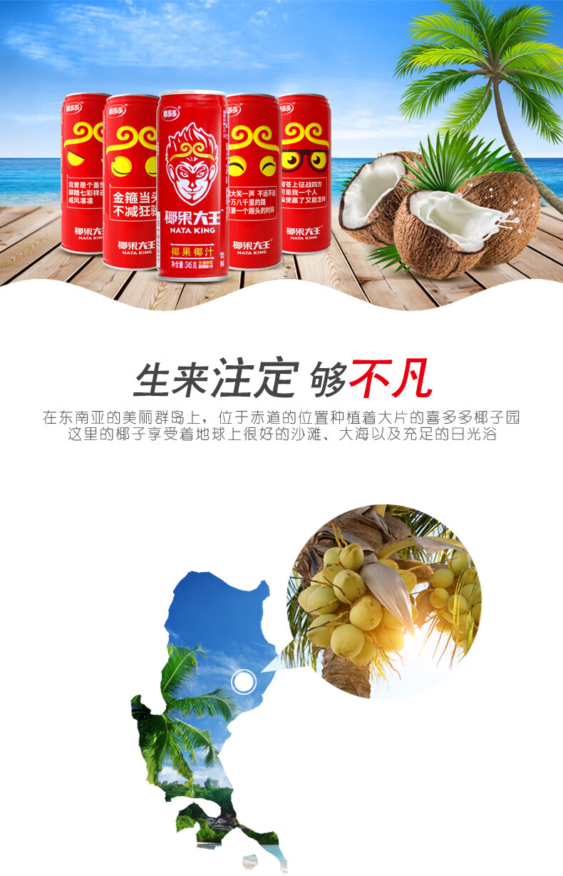 9罐 椰果粒椰子汁植物蛋白夏季饮料椰奶椰子水整箱 245g椰果椰汁*9罐