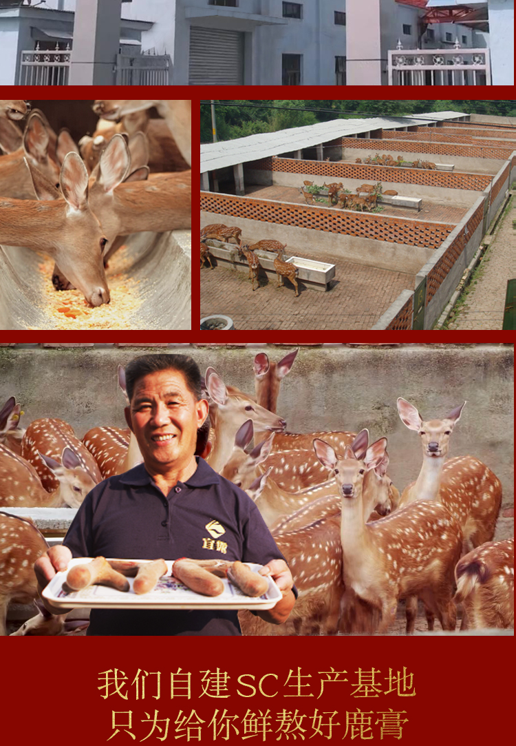 宜露鹿参膏胎膏女士鹿茸膏鹿胎粉胶囊吉林梅花鹿胎孕前调理月月舒 鹿