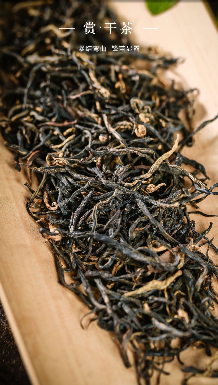 谷徽韵2021新茶祁门红茶特级祁红金针安徽茶叶浓香型罐装250g