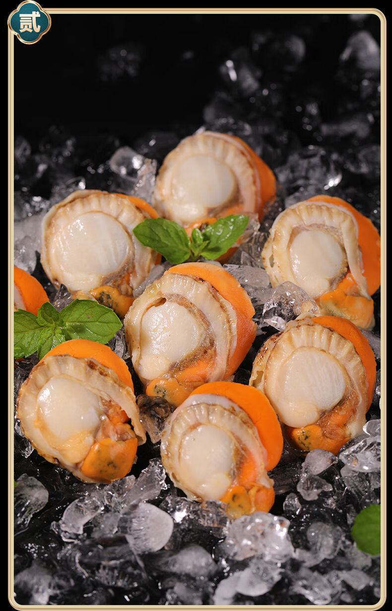 铭心顺丰特大号扇贝肉新鲜冷冻扇贝贝类海鲜瑶柱海鲜水产批发年货春节