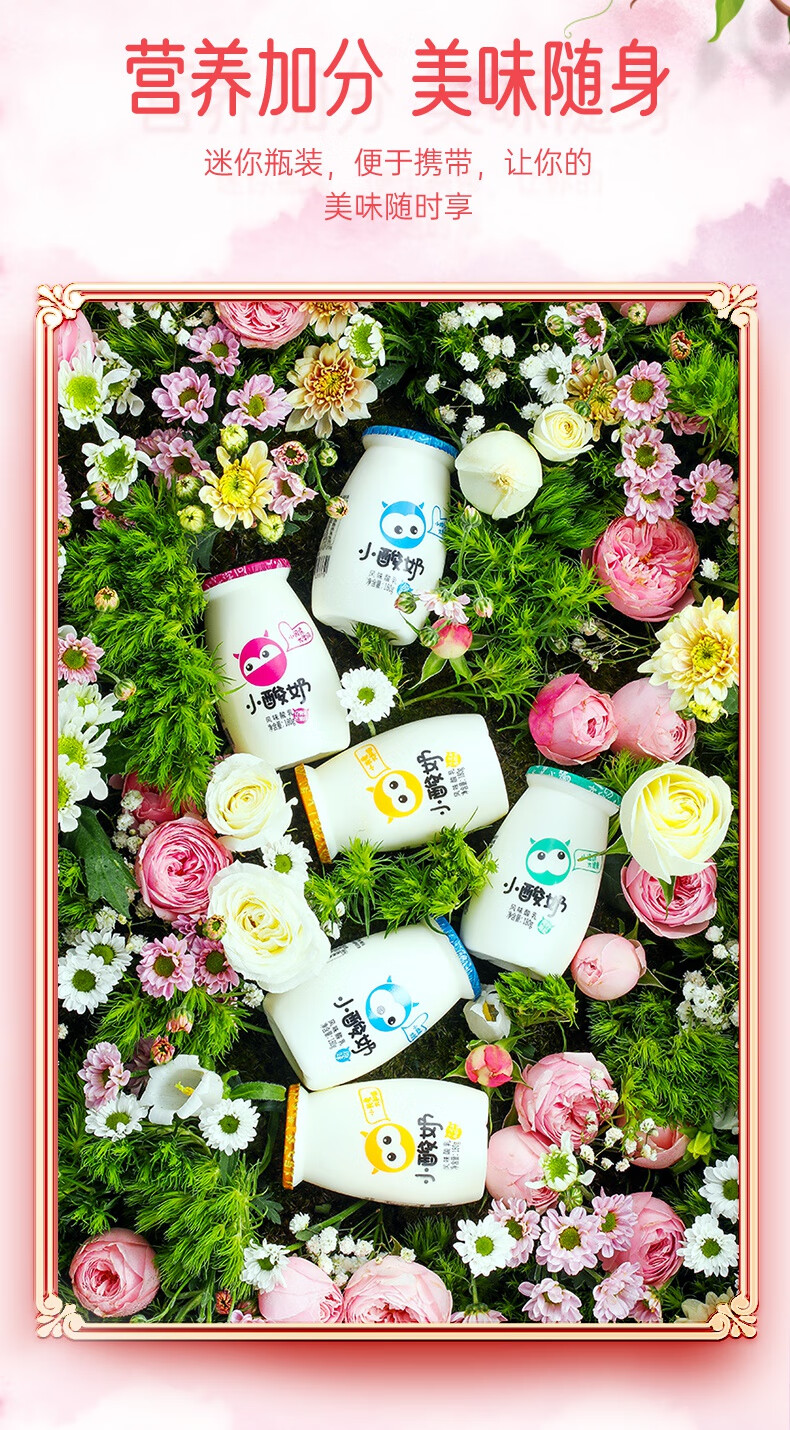小酸奶12瓶冰淇淋原味整箱 儿童早餐低温风味酸牛奶 青提茉莉6瓶 原味