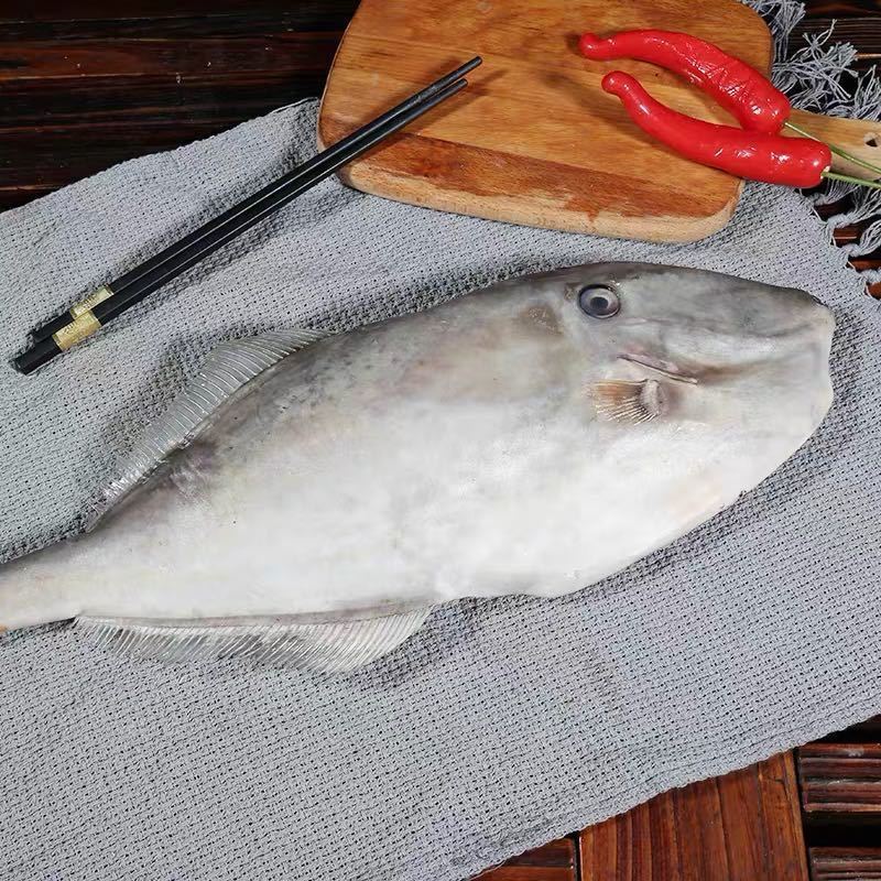 马面鱼扒皮鱼超大特大耗儿鱼新鲜冷冻海鲜水产薄冰橡皮鱼老鼠鱼10斤46