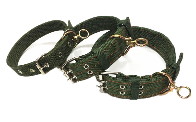 浙宠大型犬狗狗项圈宠物用品狗圈颈圈脖圈中型犬金毛德牧马犬脖套头套