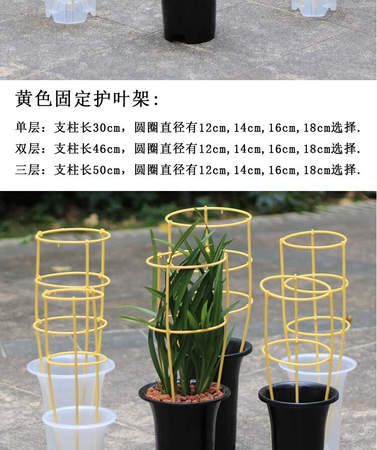 兰花护叶架植物花卉固定支架春剑蕙兰室内绿植花盆双层塑料支撑架白色