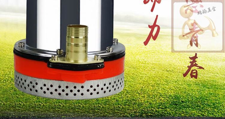 上海人民12244860直流潜水泵抽水泵家用农用刷车高扬程可定制 72v 400