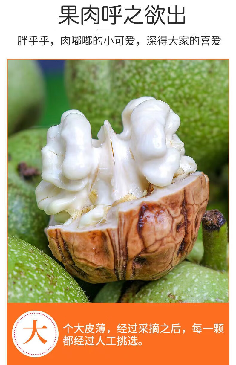 源外园 【顺丰】秦岭农家青皮核桃新鲜湿核桃野生绿皮孕妇水果 新鲜