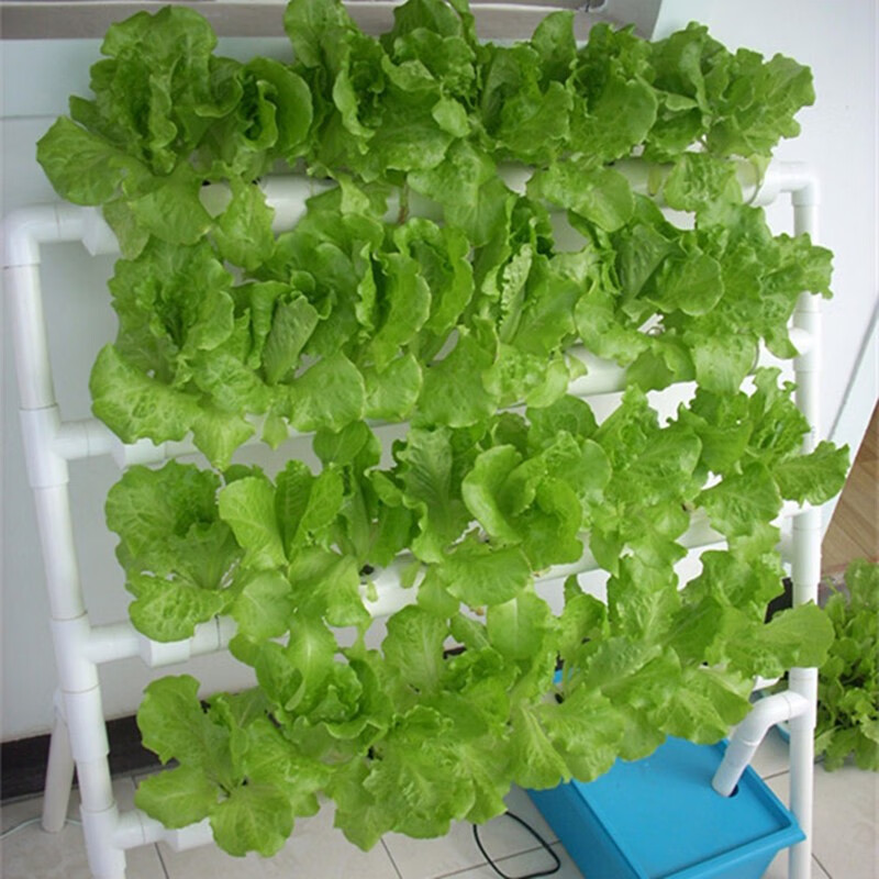 稳匠管道式无土栽培设备家庭阳台种植蔬菜草莓水培水耕多层种菜机水培