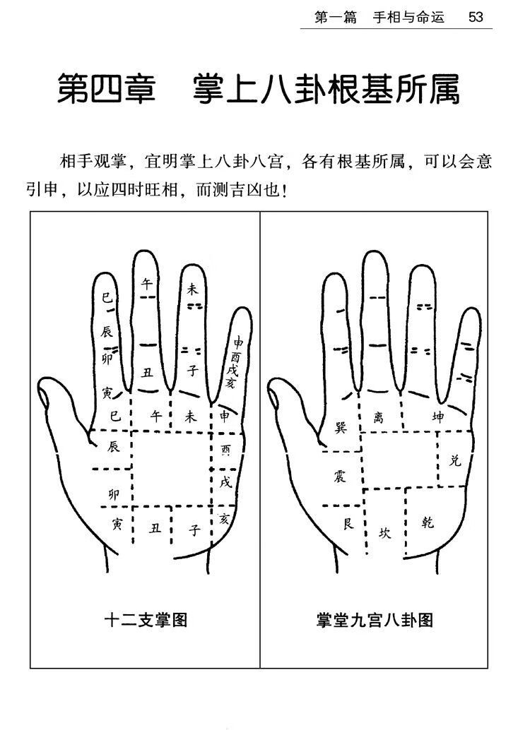 图解手相面相全书大全看手相看手纹婚姻预测学入门命理书籍 图解手相