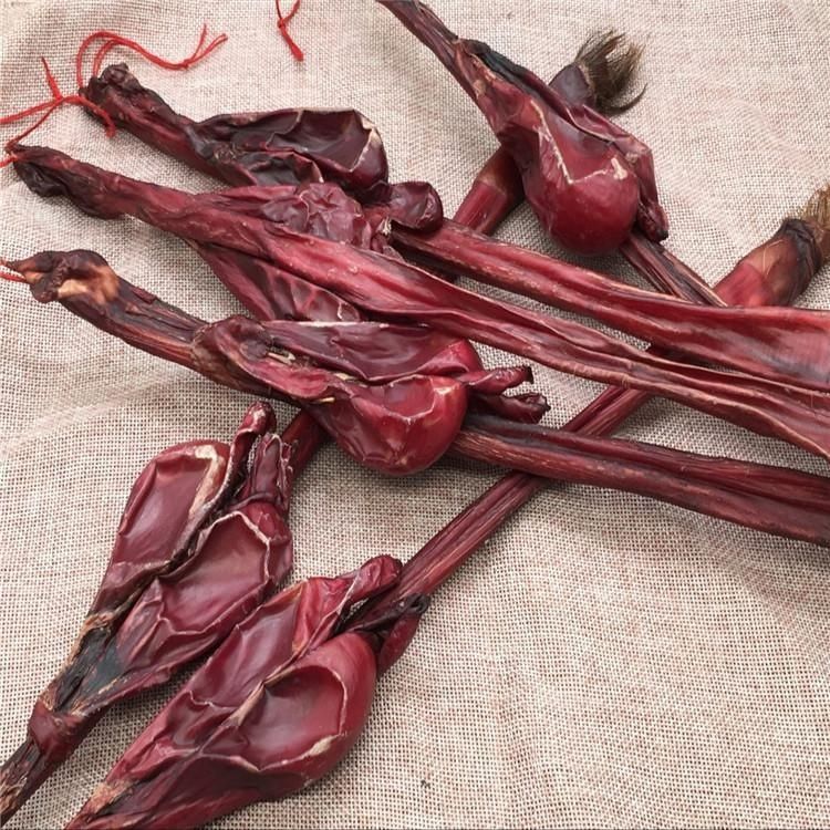 【】黑牛鞭 中药材特级黑牛鞭干 纯牛鞭牛宝男滋补壮腰泡酒料 正宗