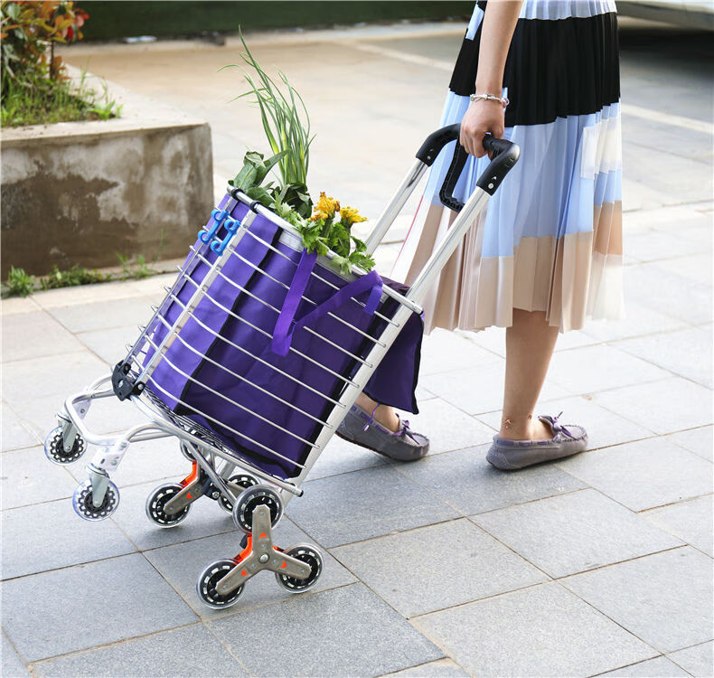 车拉货买菜车小拉车便携 双把手八轮加粗两用带锁扣可刹车【图片 价格