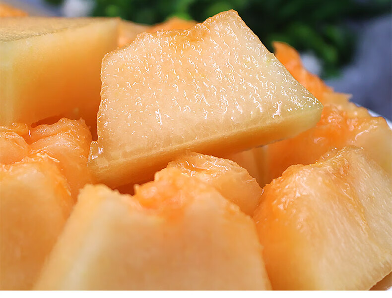 现摘农家牛奶哈密瓜10斤新鲜日本品种静冈小蜜甜瓜网纹瓜海南水果