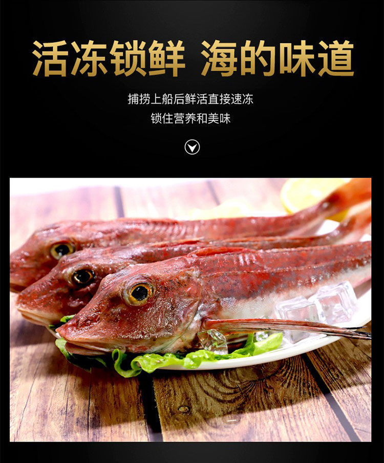 红头鱼红娘子海捕海鱼红绣鱼鲜活海产品新鲜海鱼海鲜
