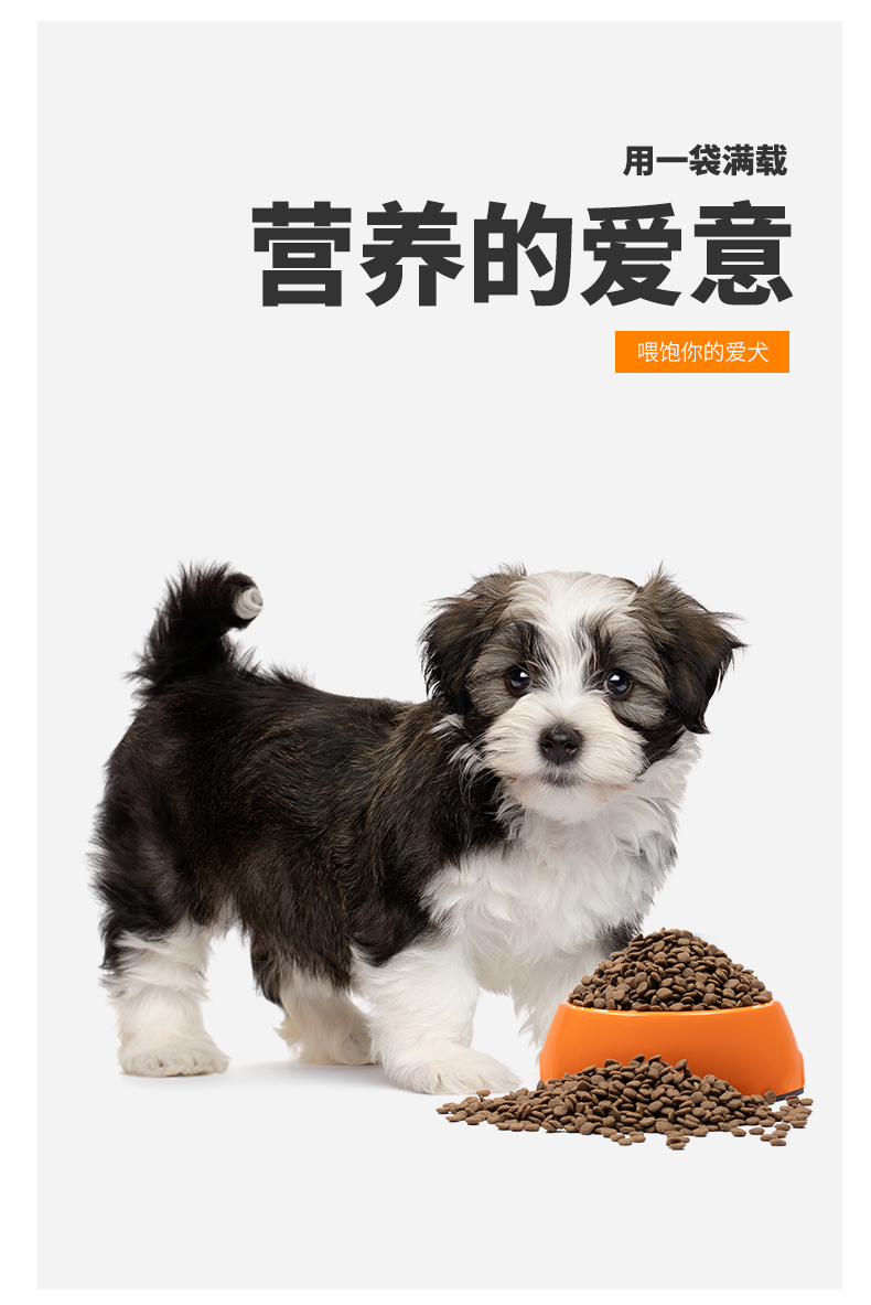 卫仕狗粮中/大型成犬15kg 金毛阿拉斯加拉布拉多哈士奇萨摩耶 宠物